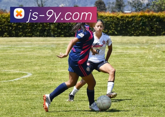 九游官网APP 封面图